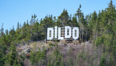 Dildo Newfoundland 3D Model