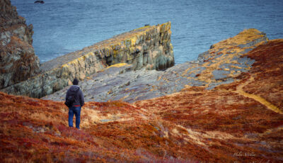 Shoreline Heritage Walking Trail Bay Roberts Newfoundland 3D Model